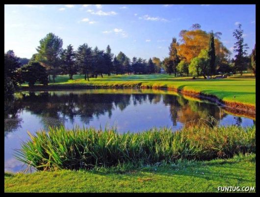 A Trip to Johannesburg, South Africa