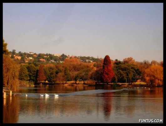 A Trip to Johannesburg, South Africa