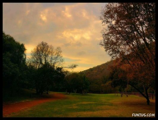 A Trip to Johannesburg, South Africa