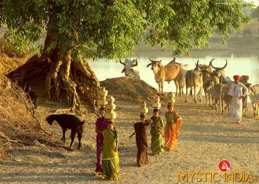 Mystic India - Some Cool Photos