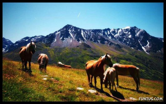 Tirol : The Jewel of Austria