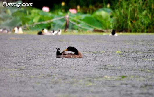 Unforgettable Journey To Jammu & Kashmir, India