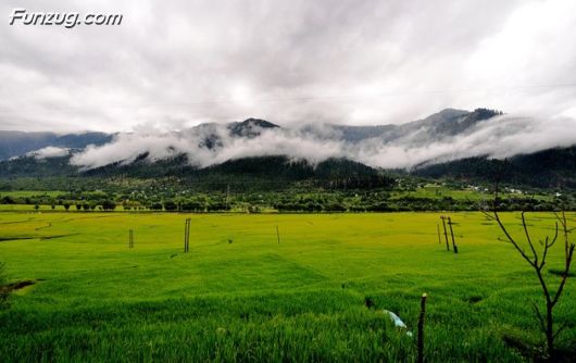 Unforgettable Journey To Jammu & Kashmir, India