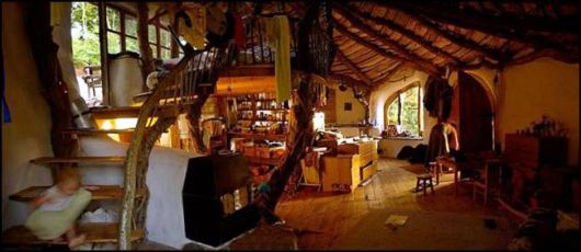 Amazing Eco Friendly House