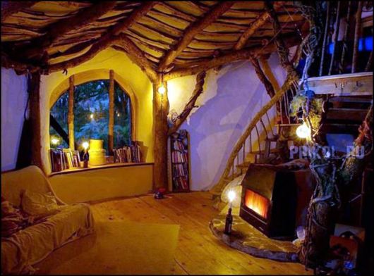 Amazing Eco Friendly House