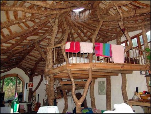 Amazing Eco Friendly House