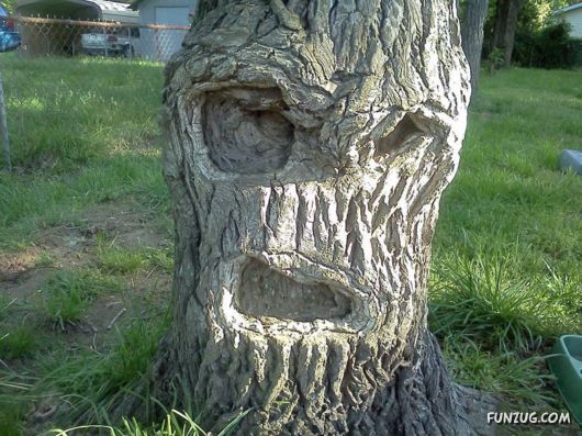 Hidden Faces In Everyday Things