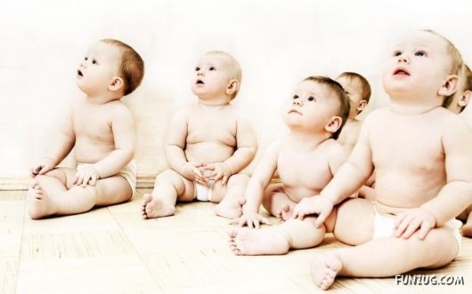 Chinky Pinky Babies Wallpapers