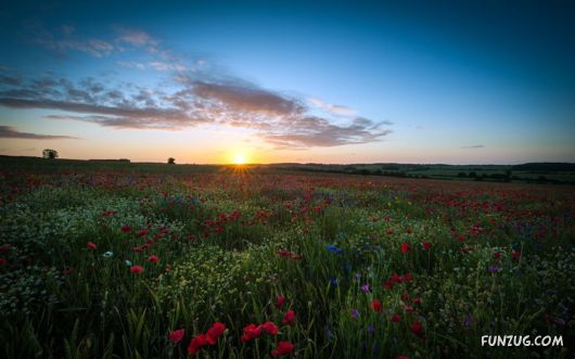 Click to Enlarge - Cool Wallpapers Collection