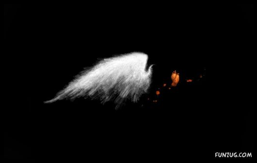 Click to Enlarge - The Dark Life Wallpapers