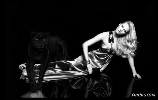 Click to Enlarge - The Dark Life Wallpapers