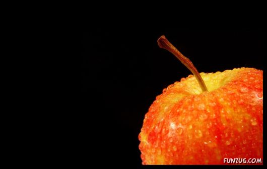 Click to Enlarge - The Dark Life Wallpapers