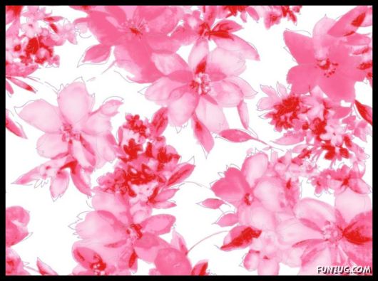 Click to Enlarge - Abstract Flowers Artistic Wallpapers
