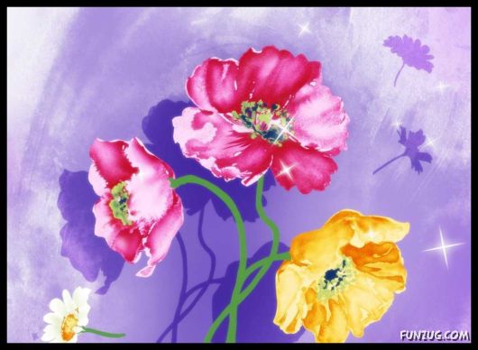 Click to Enlarge - Abstract Flowers Artistic Wallpapers