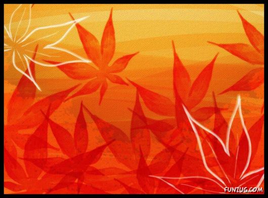 Click to Enlarge - Abstract Flowers Artistic Wallpapers