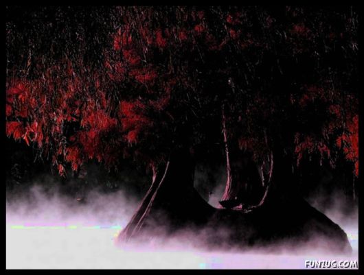 Click to Enlarge - Beauty of the Sun and Moon