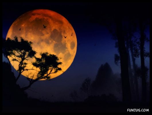 Click to Enlarge - Beauty of the Sun and Moon