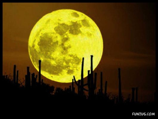 Click to Enlarge - Beauty of the Sun and Moon