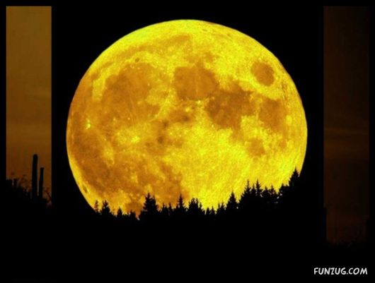 Click to Enlarge - Beauty of the Sun and Moon