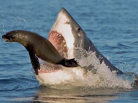 Out of this World Fishing