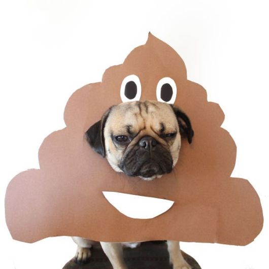 Pug Does Halloween Better Than You