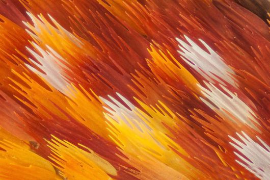 Stunning Macro Photographs Of Butterfly Wings