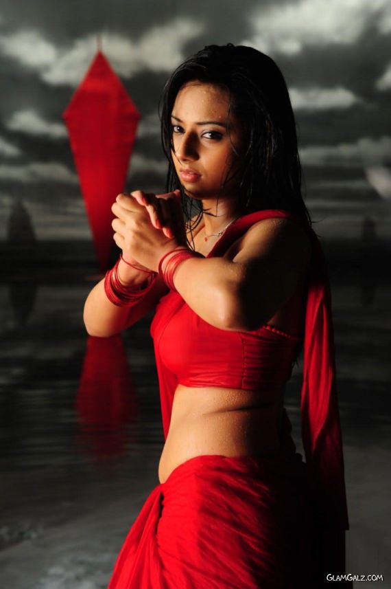 Desi Beauty Isha Chawla Photoshoot