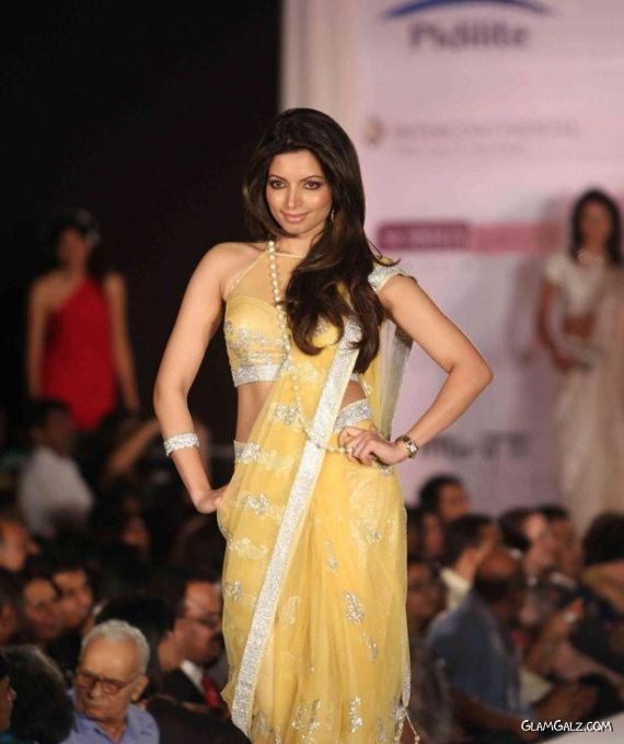 Bollywood Celebs At Pidilite CPAA Charity Fashion Show