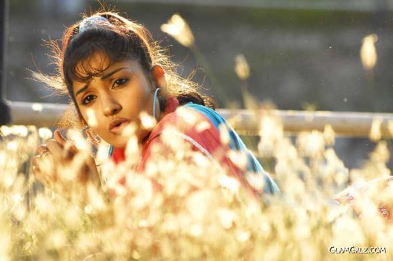 Beautiful Tolly Actress Madhavi Latha