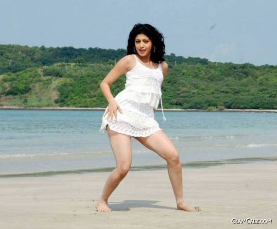 South Indian Actress Praneetha