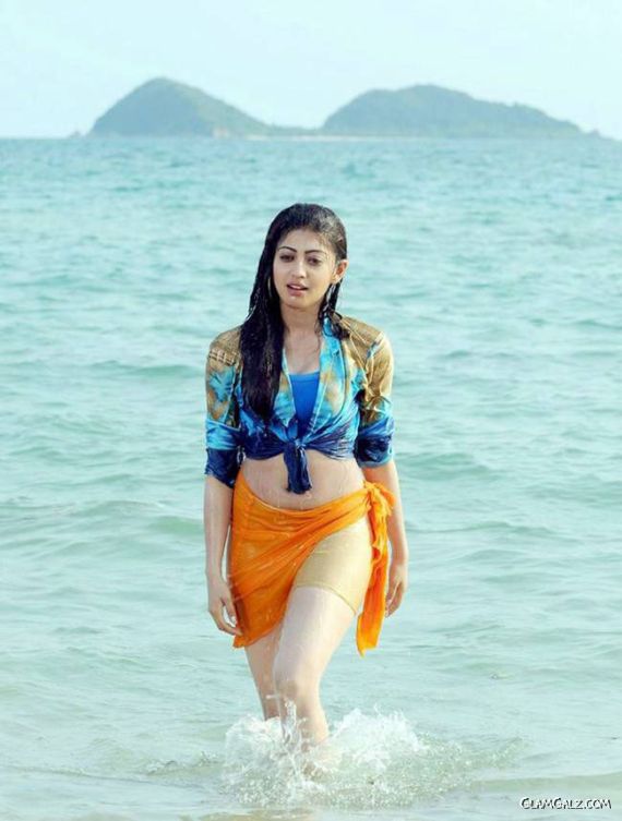 South Indian Actress Praneetha