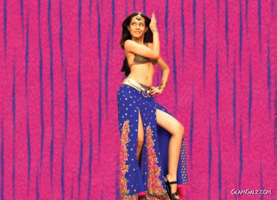 Click to Enlarge -Beautiful Amrita Rao Wallpapers